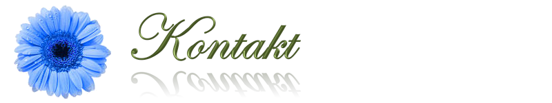 Kontakt